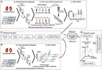 Diagnosis of T-cell-mediated kidney rejection by biopsy-based proteomic biomarkers and machine learning